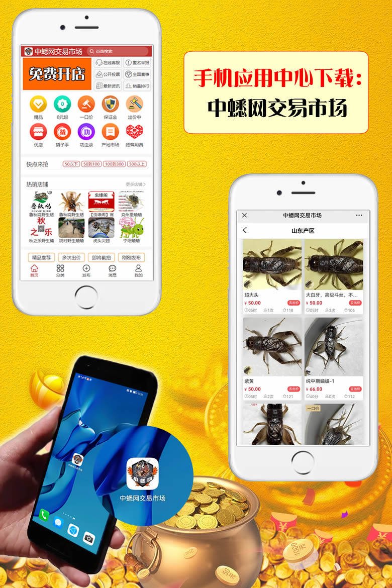 蟋蟀蛐蛐买卖行情交易交流平台-中蟋网交易市场